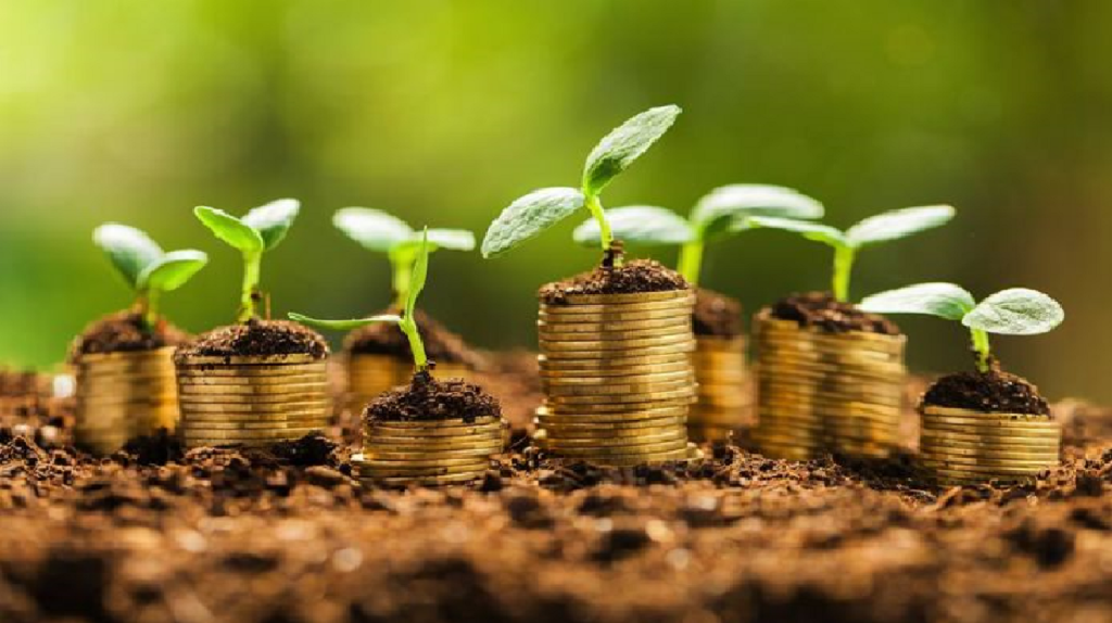 Les Cosmétiques Bio : Greenwashing